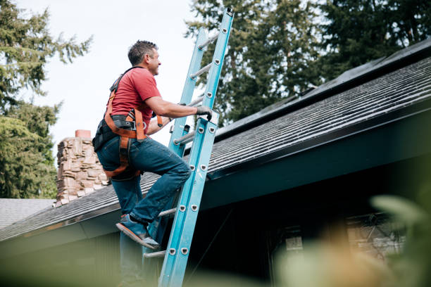 Best Skylight Installation and Repair  in Visalia, CA
