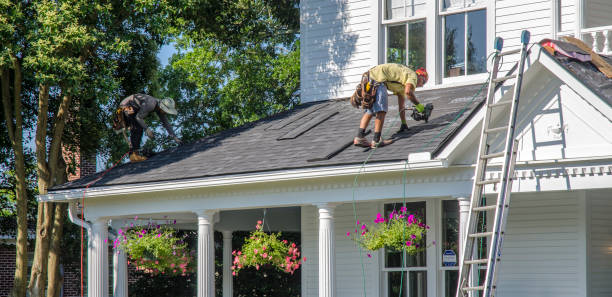 Best Roof Moss and Algae Removal  in Visalia, CA